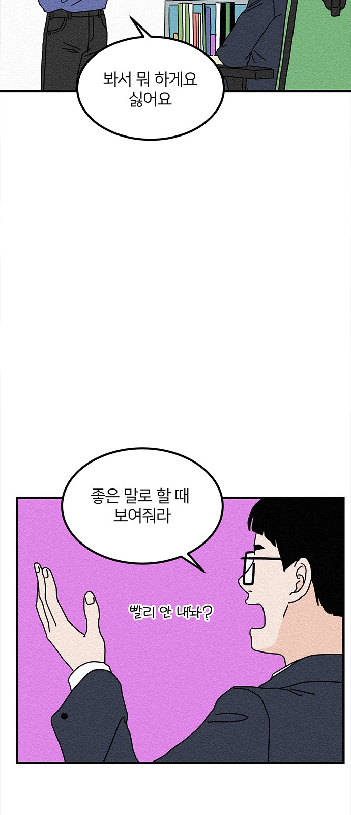 46 페이지