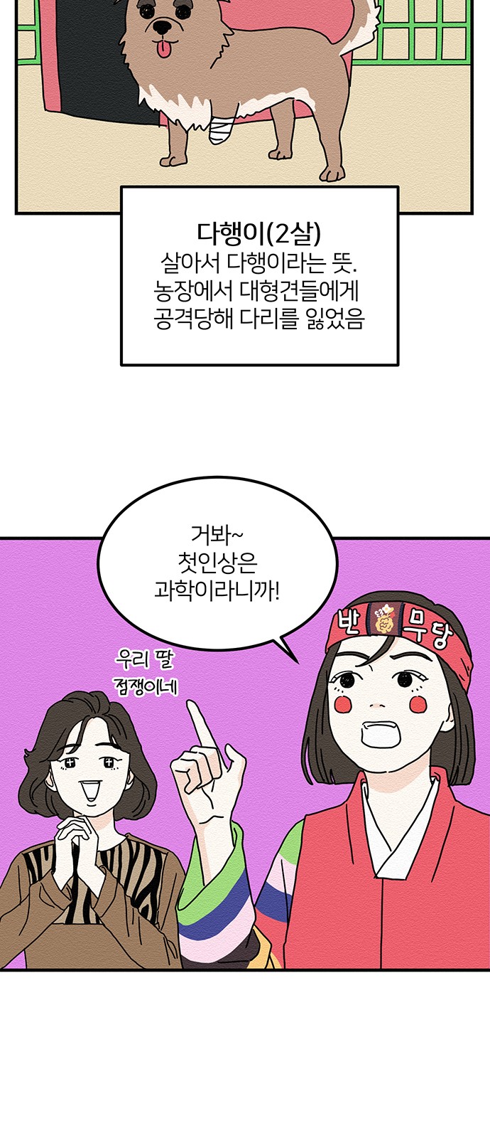 20 페이지