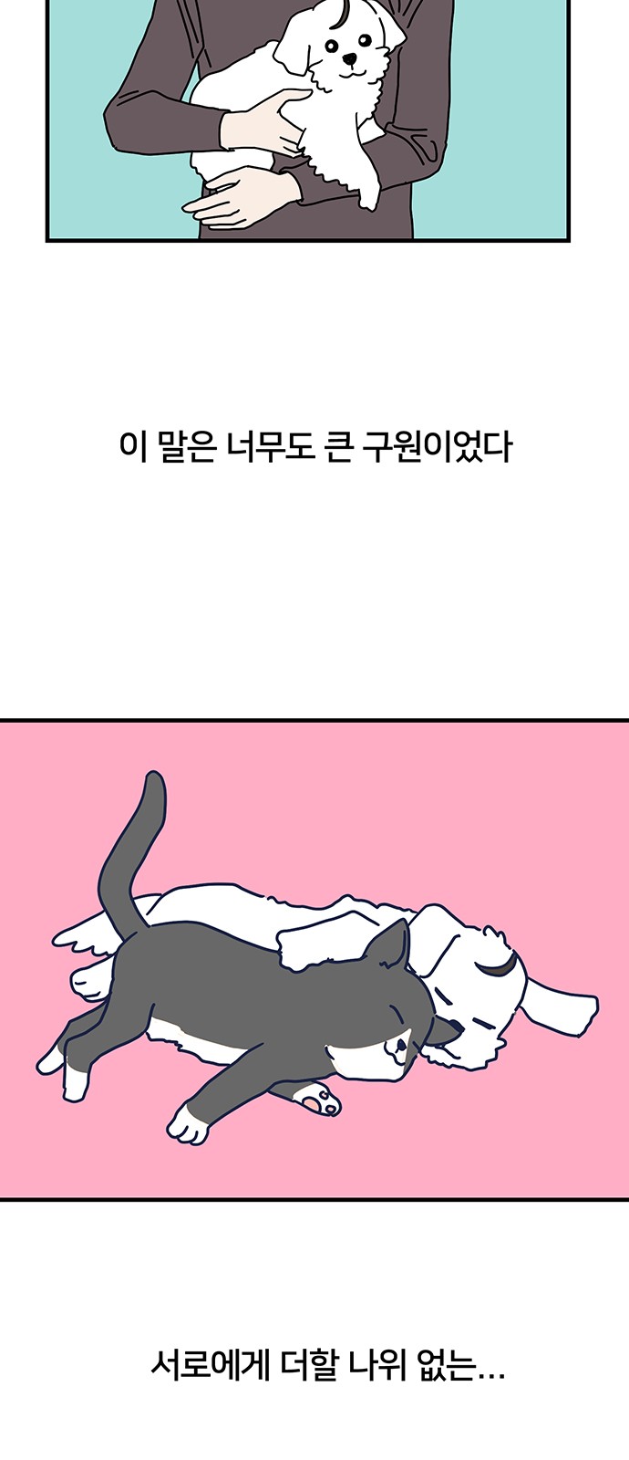 41 페이지