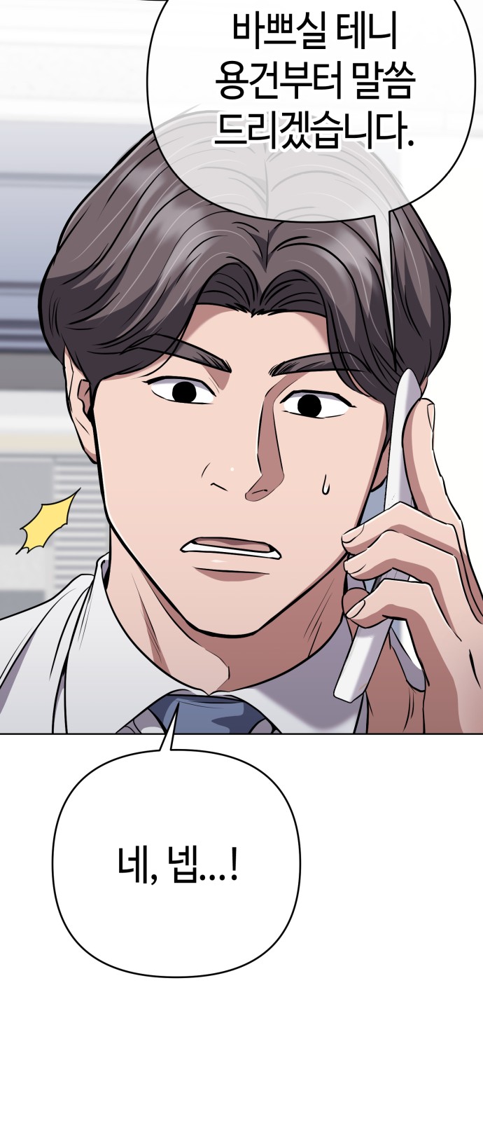 85 페이지