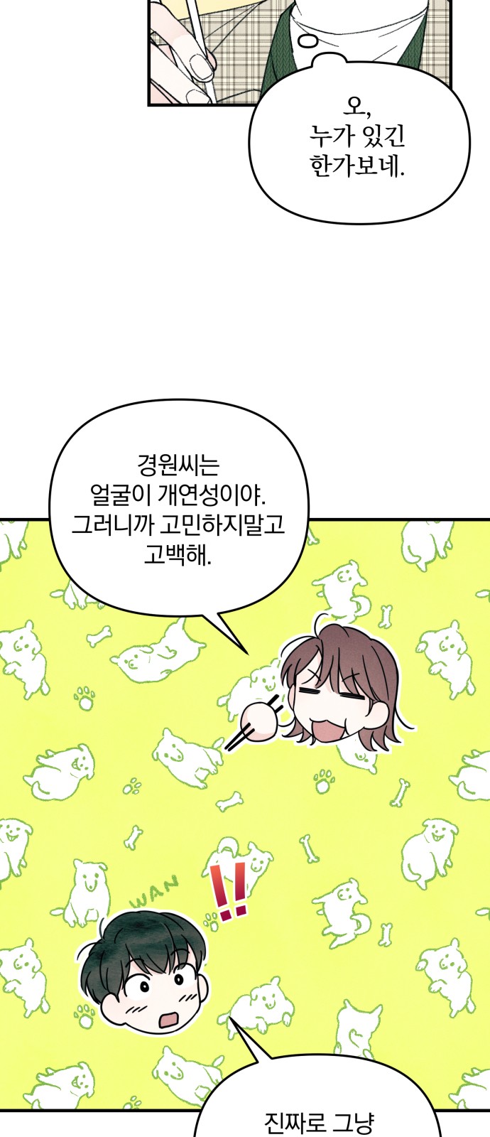 20 페이지