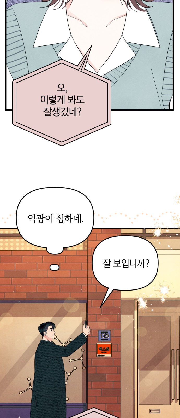 46 페이지