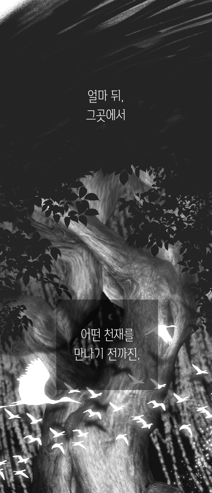 74 페이지