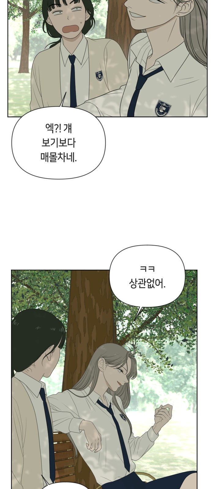 46 페이지