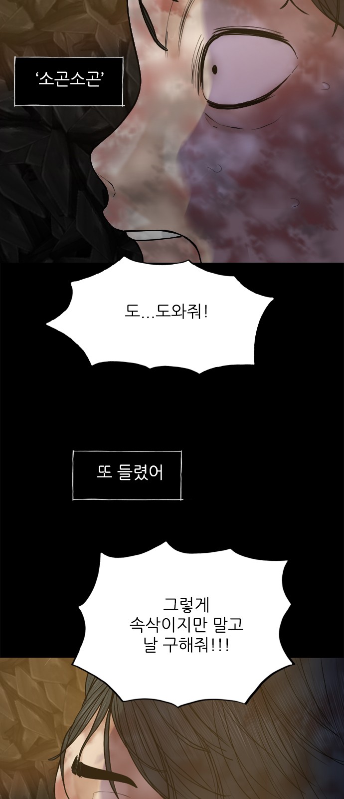 31 페이지