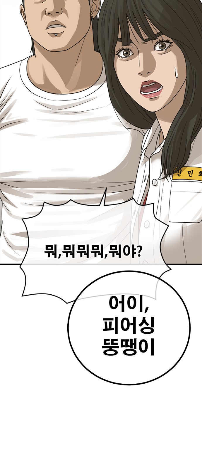33 페이지