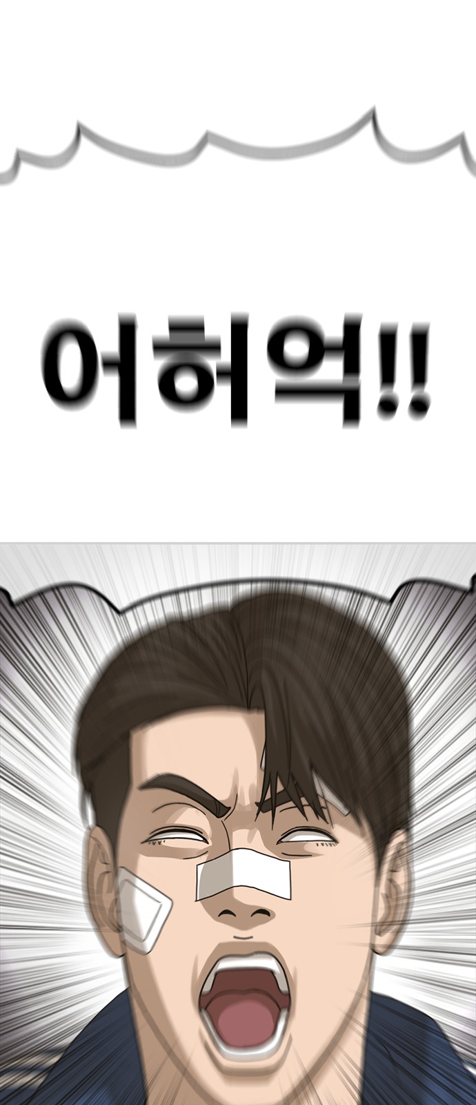 52 페이지