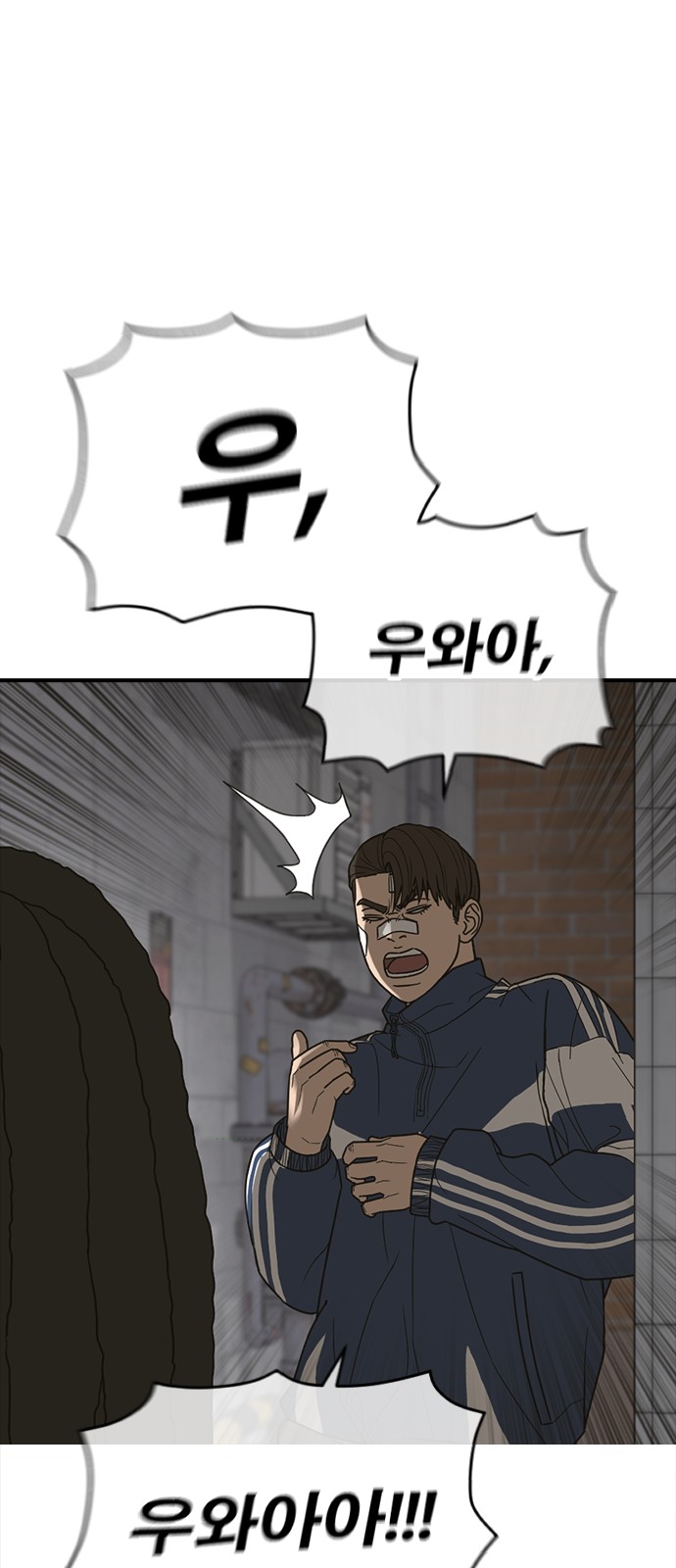 5 페이지