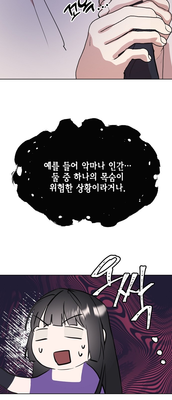 66 페이지