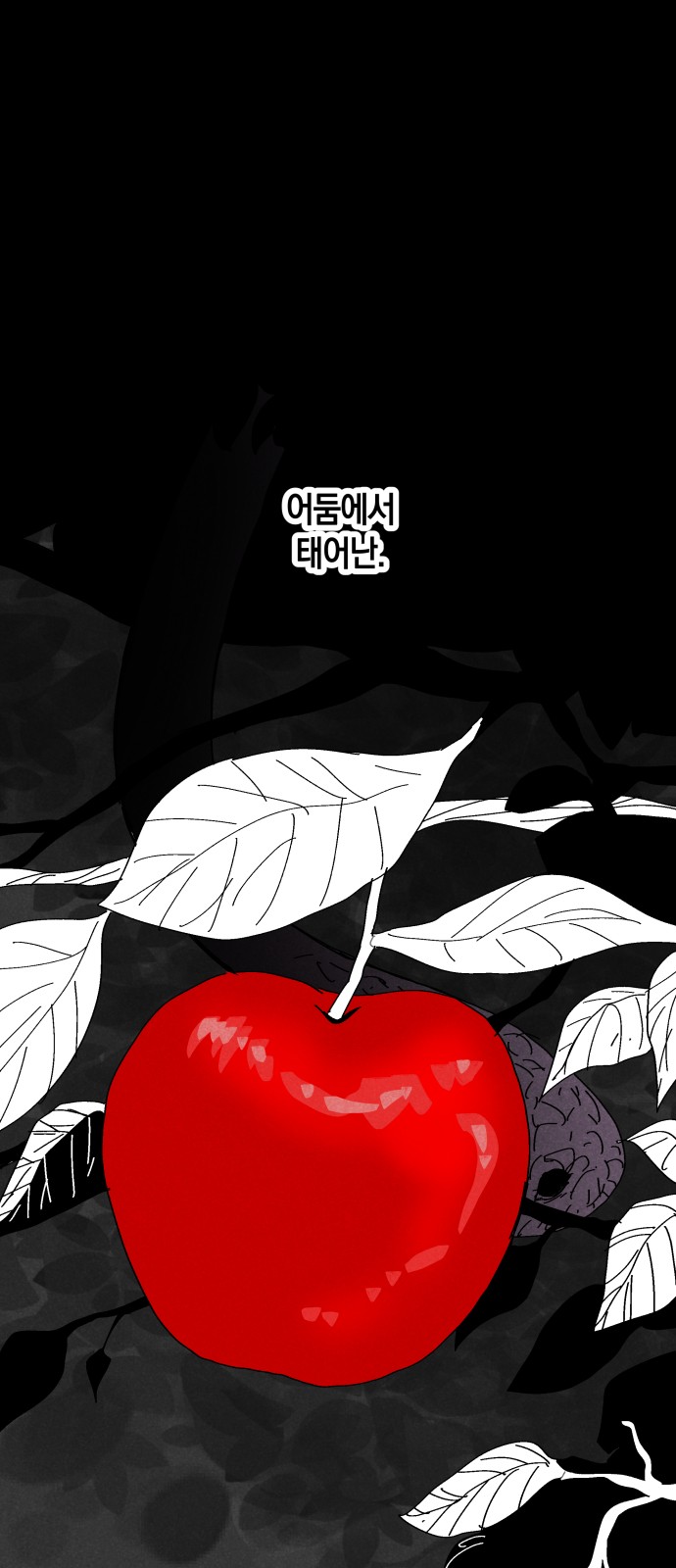 61 페이지