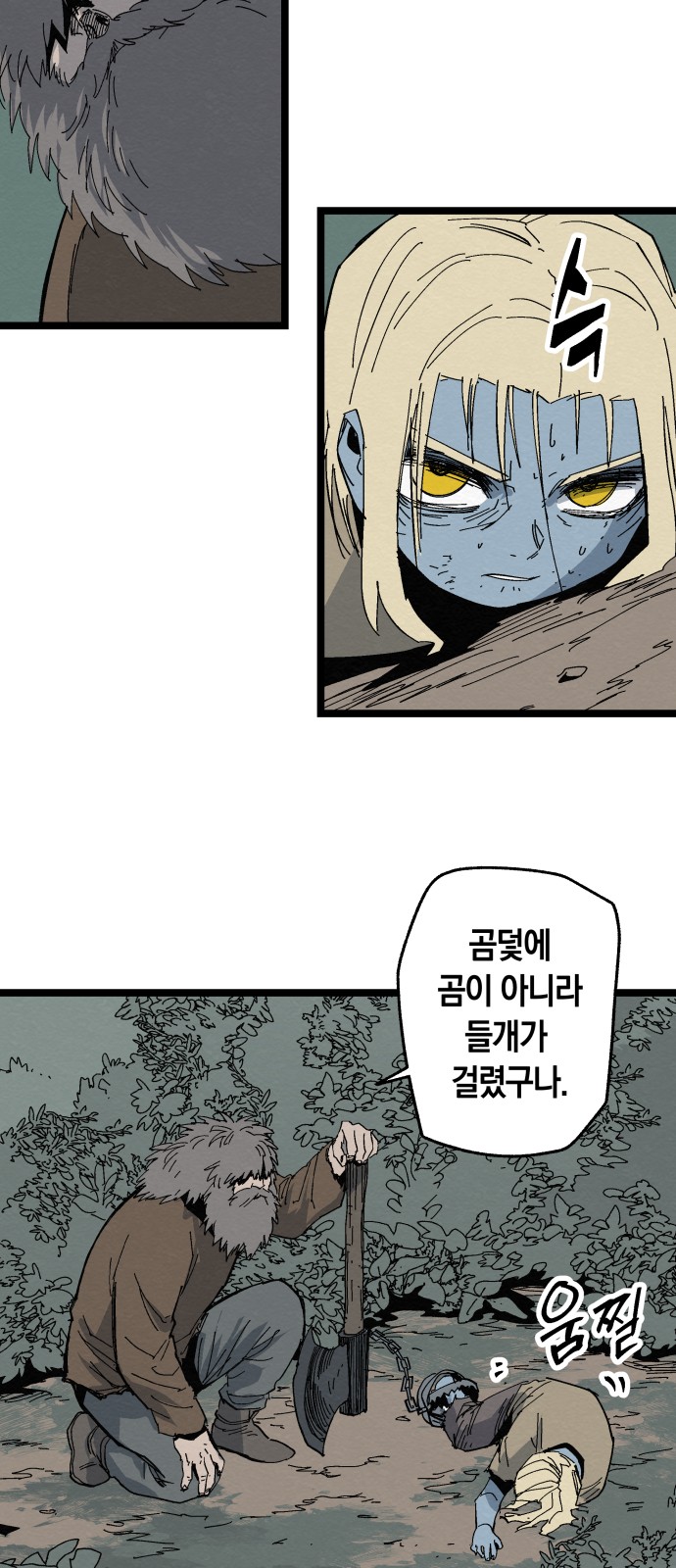 51 페이지