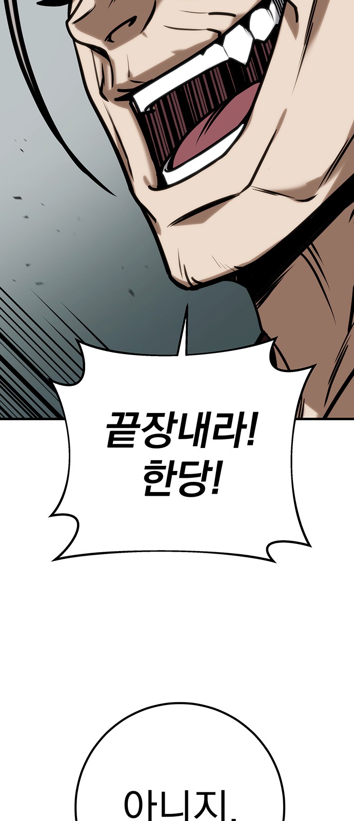 100 페이지