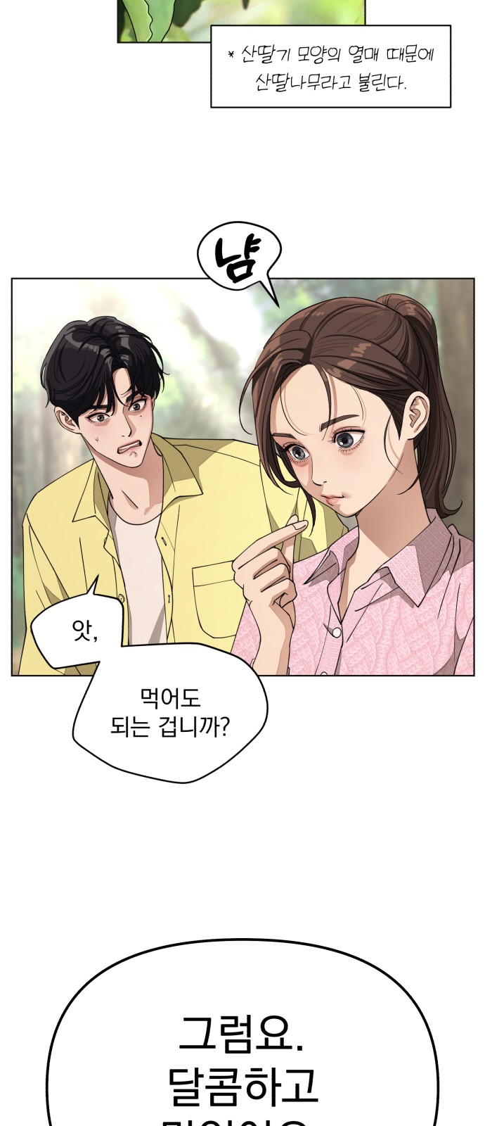 37 페이지