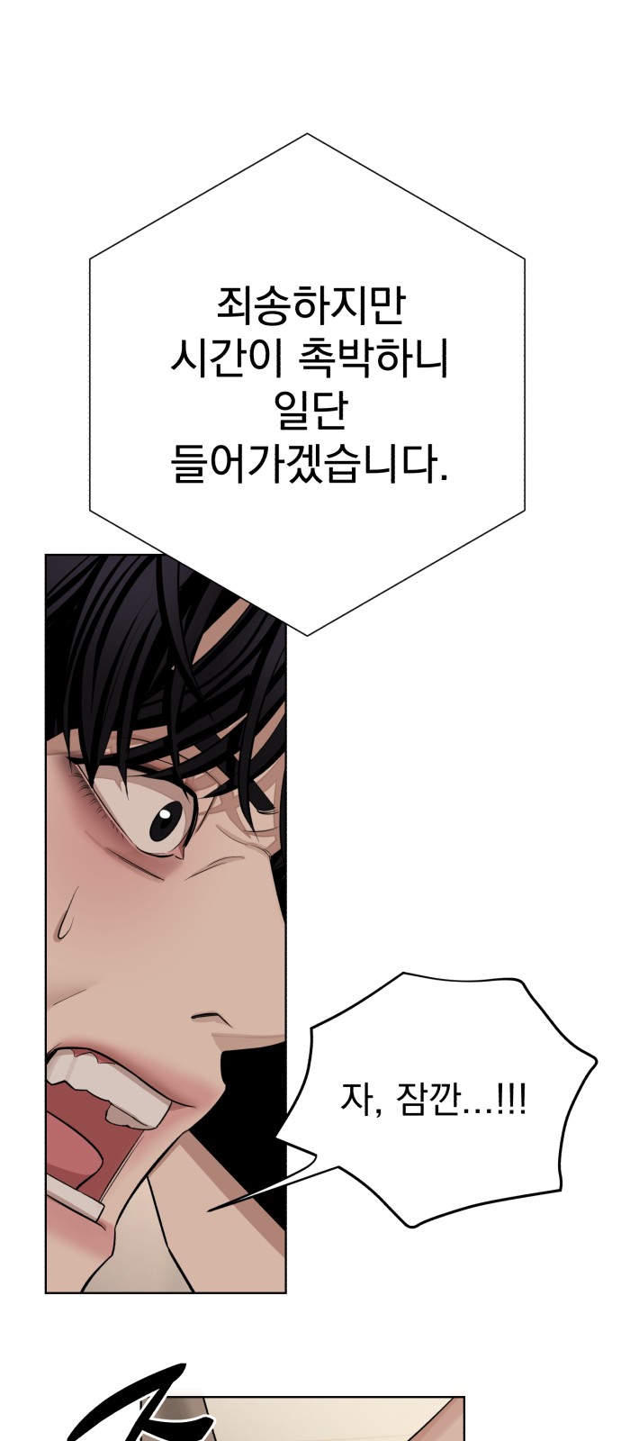 85 페이지