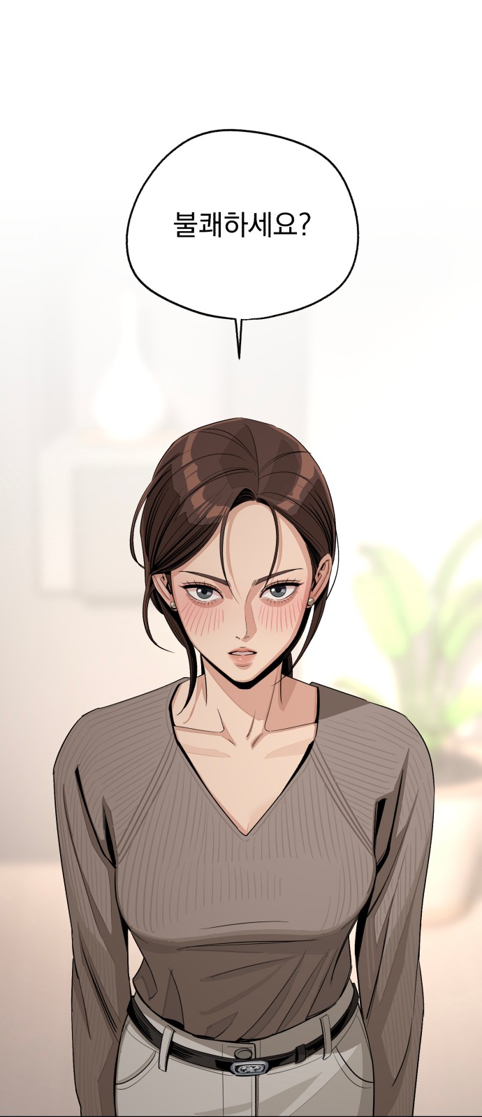 52 페이지