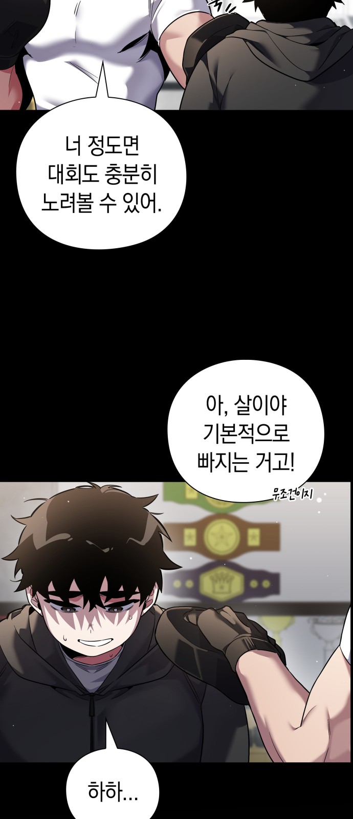 66 페이지
