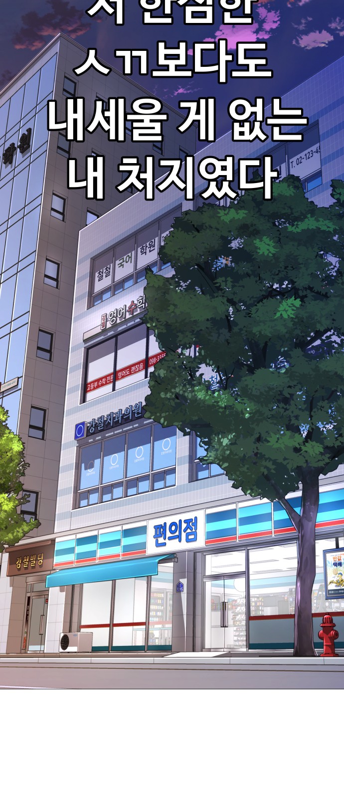 43 페이지