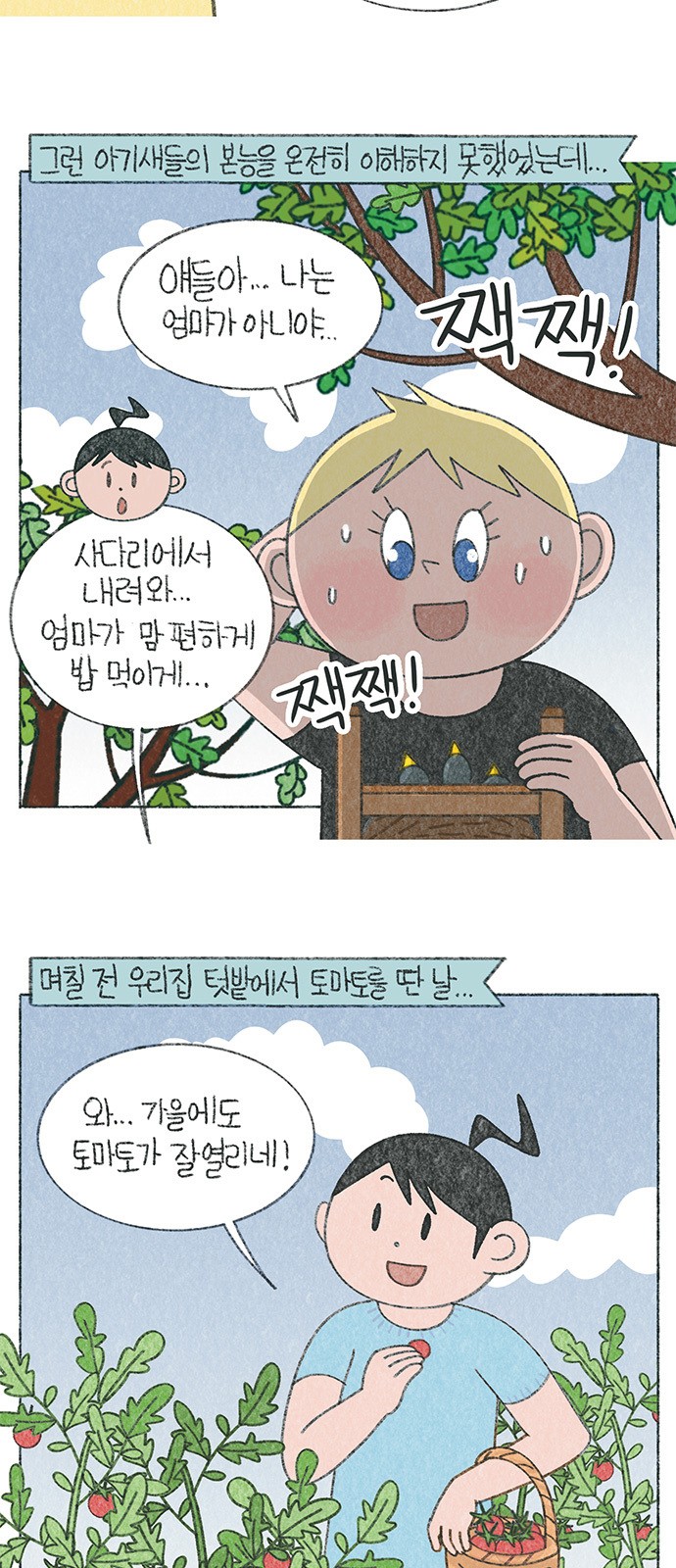 3 페이지
