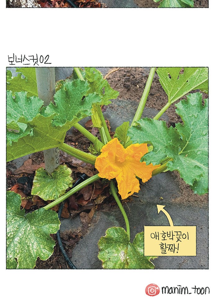8 페이지