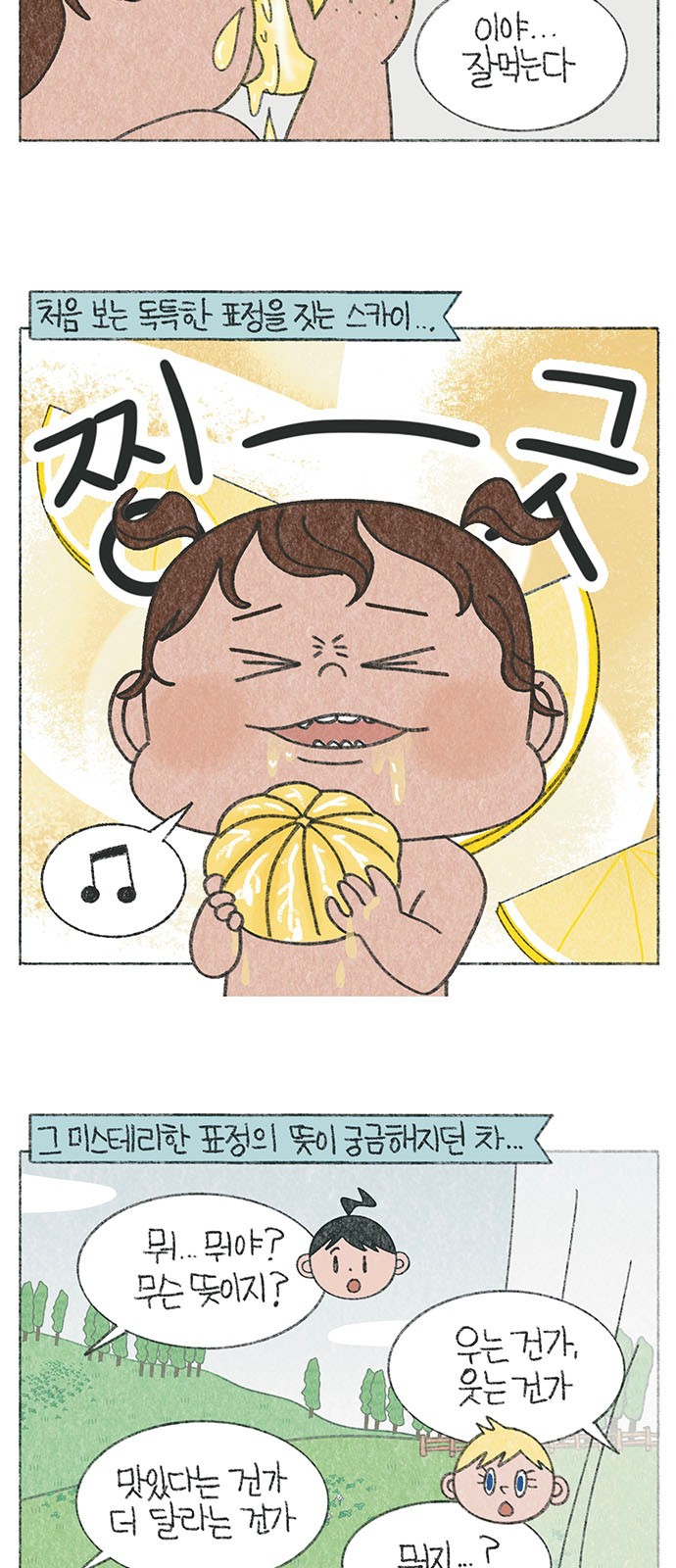 5 페이지