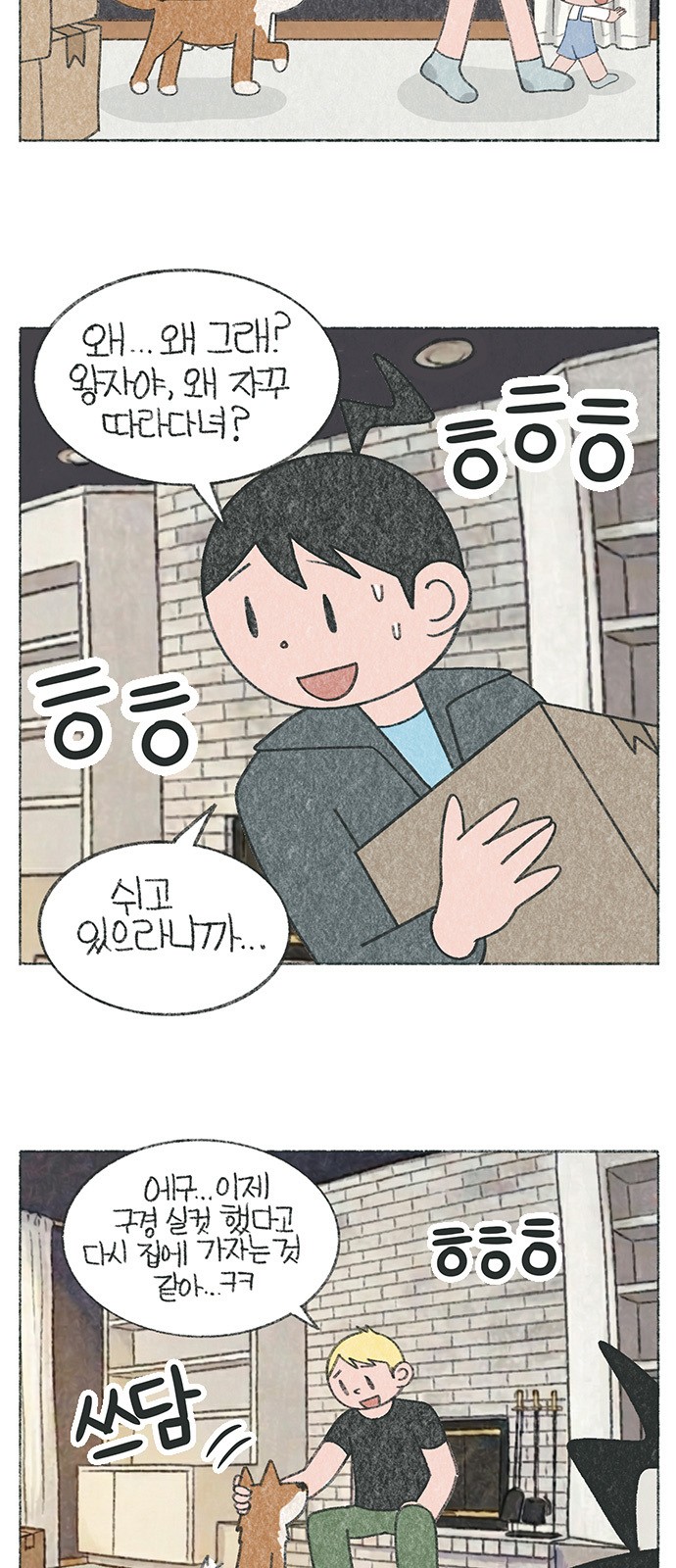 5 페이지