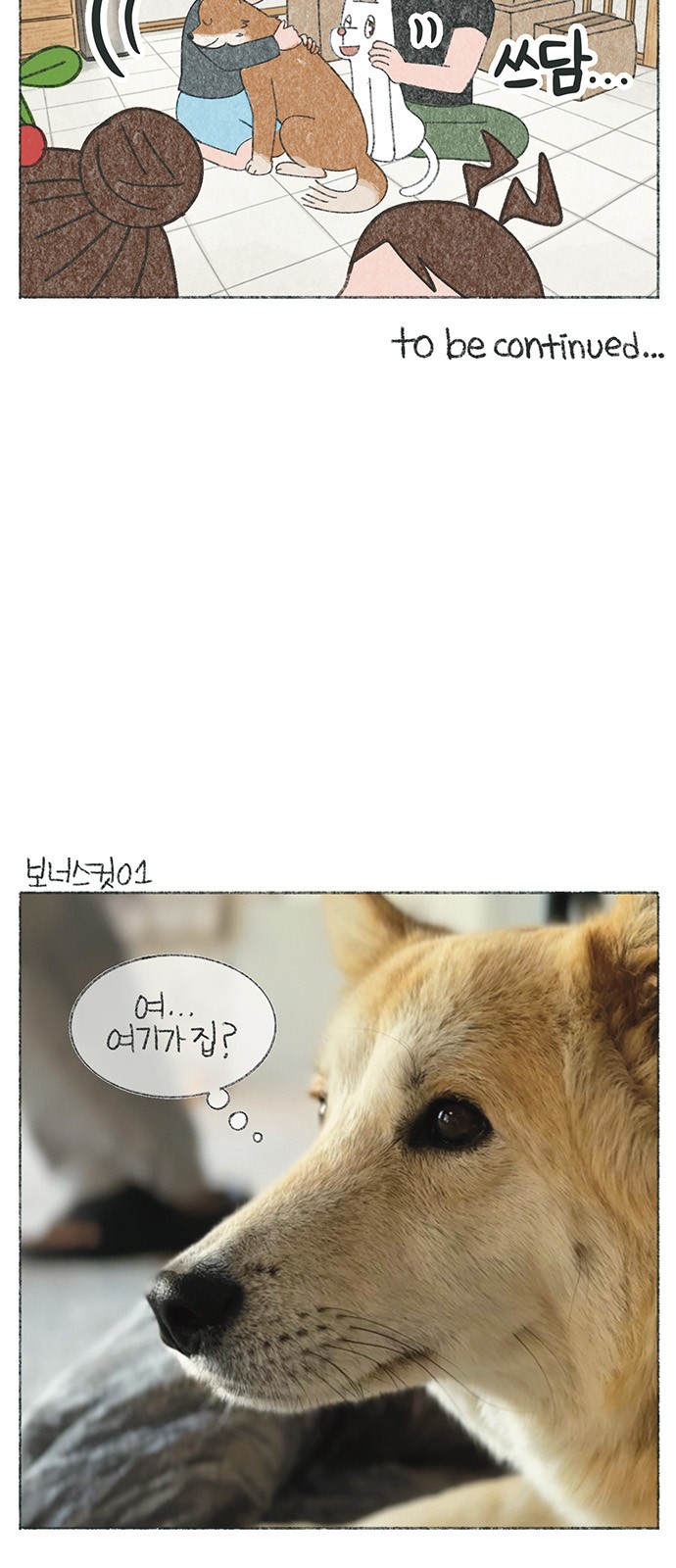 7 페이지