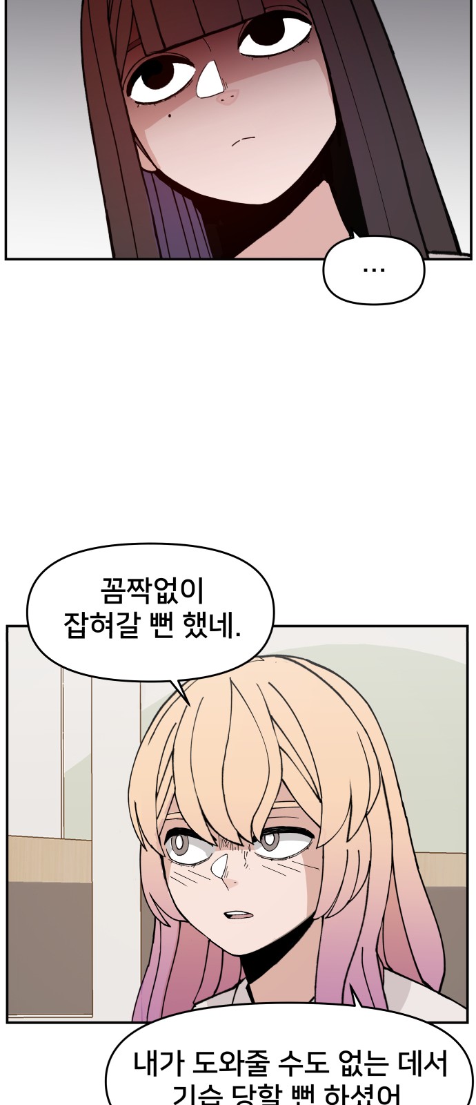 46 페이지