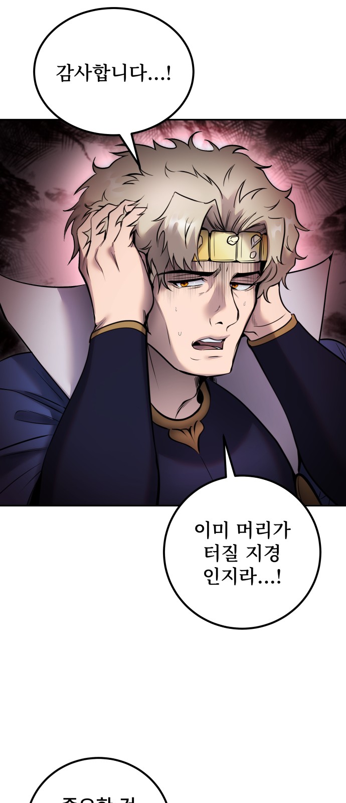 30 페이지