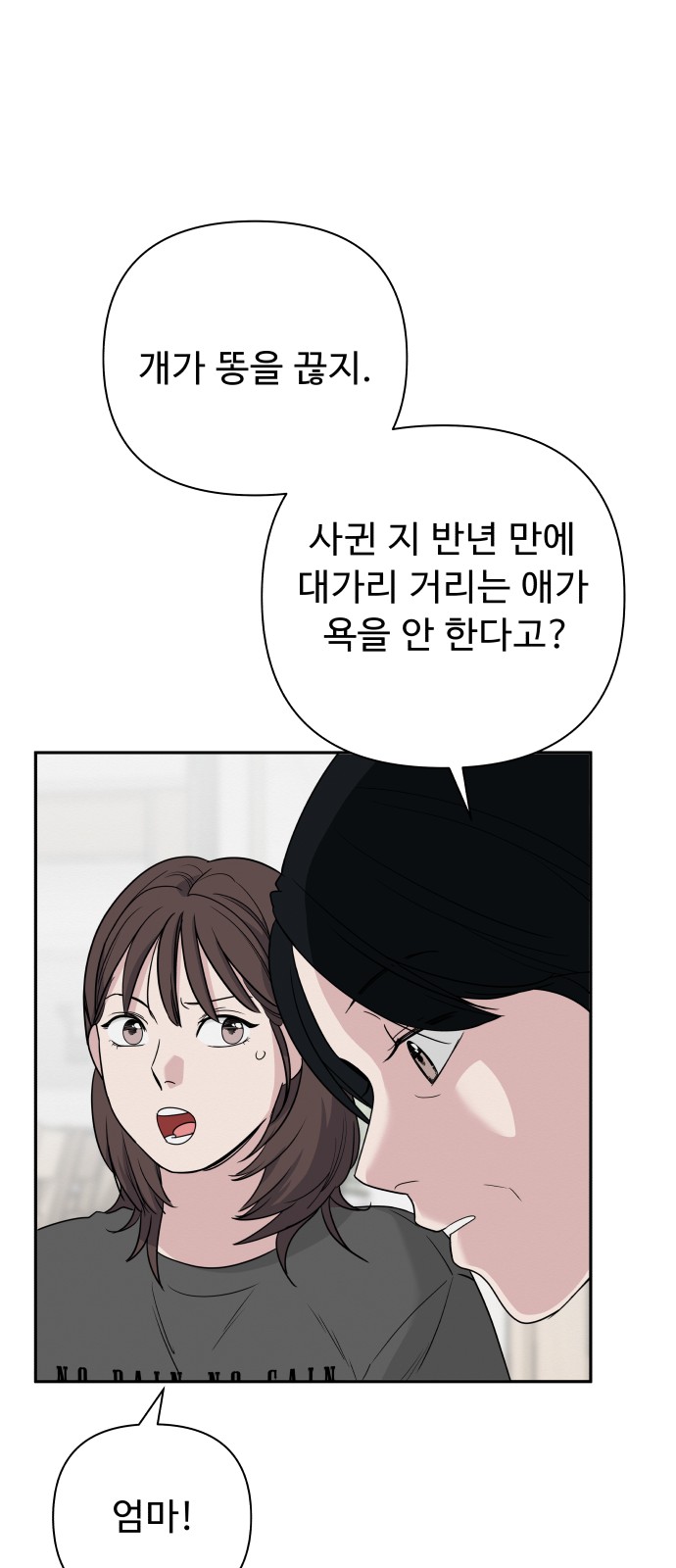 43 페이지