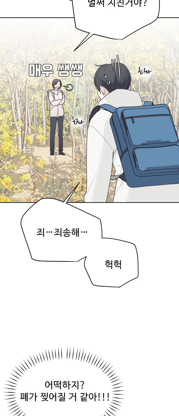46 페이지