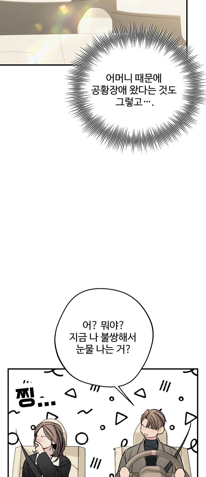53 페이지