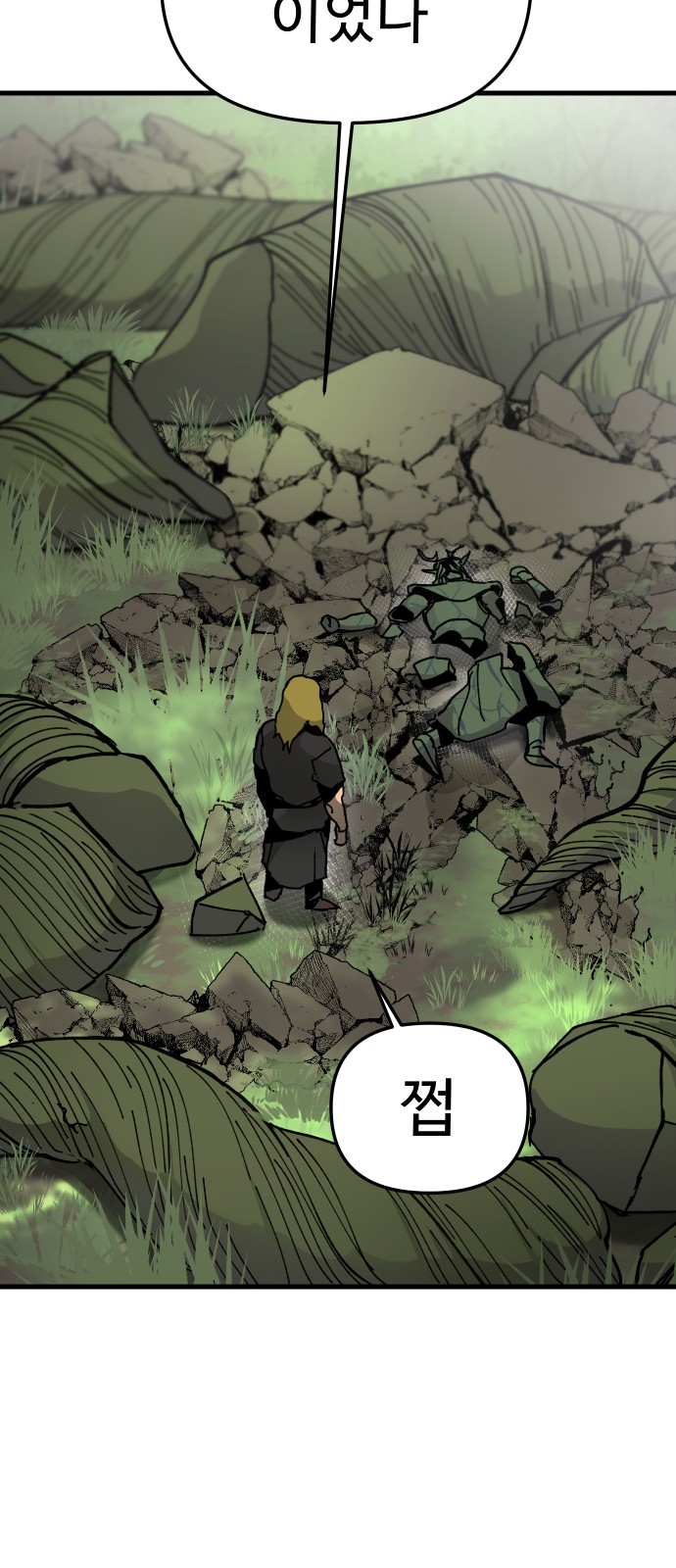 71 페이지