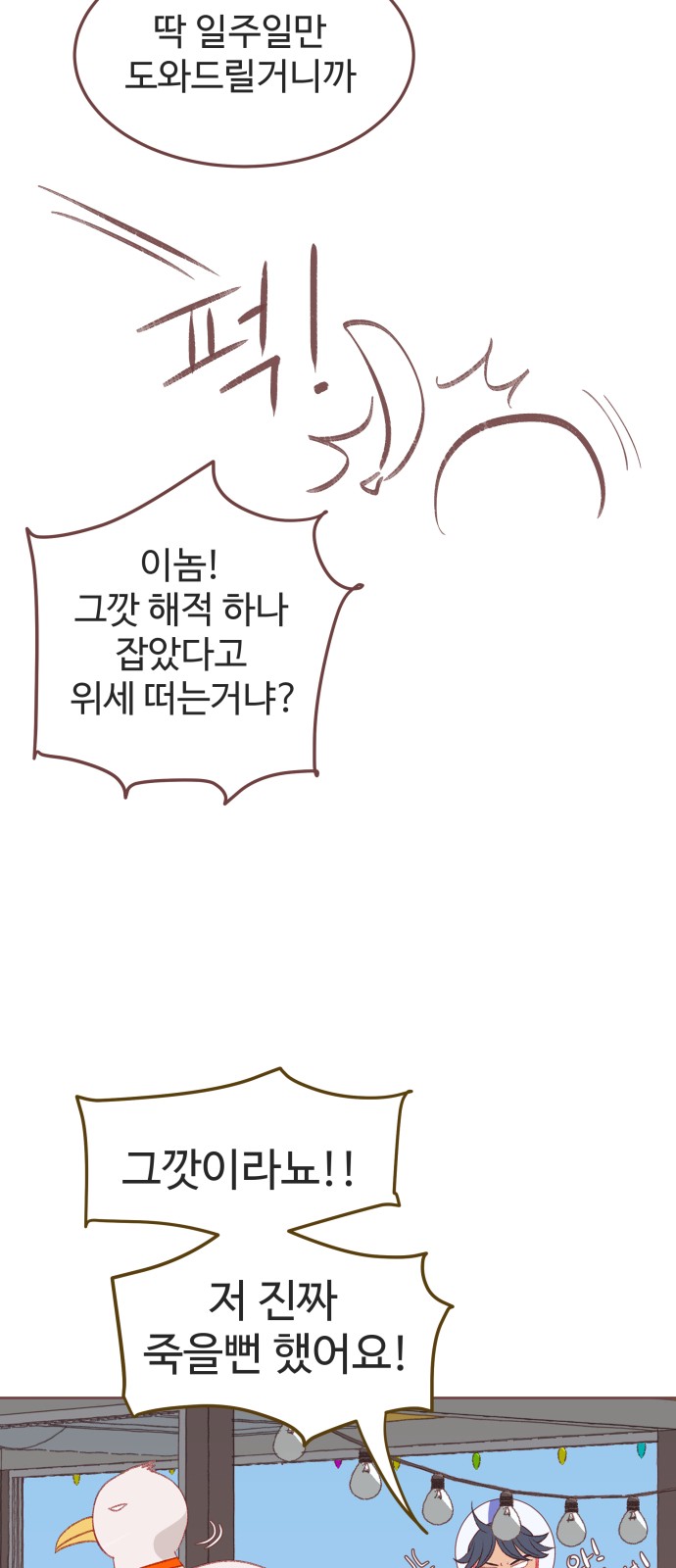 14 페이지