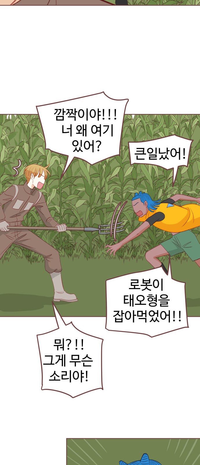 31 페이지