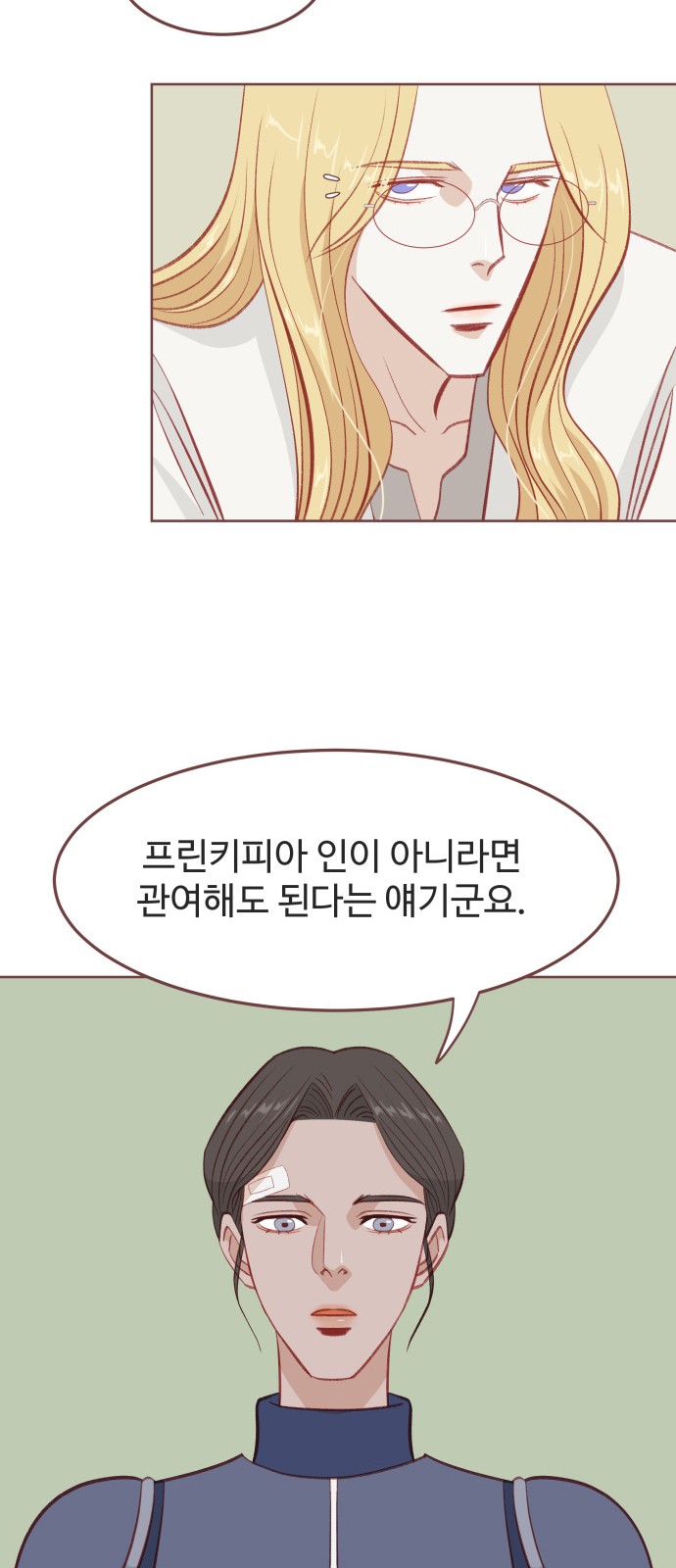 44 페이지