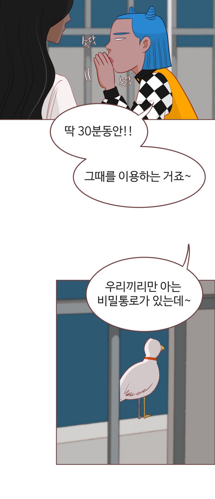 19 페이지