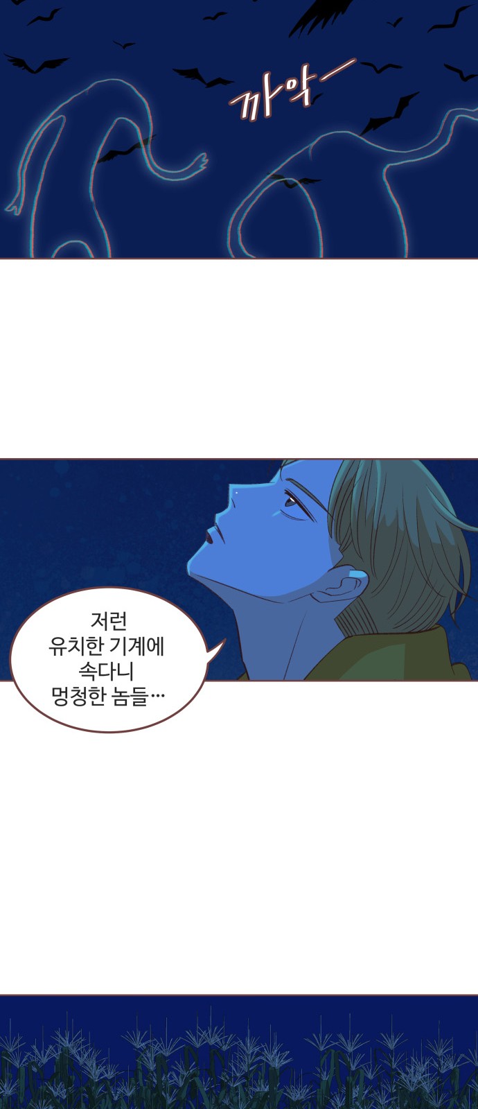 41 페이지