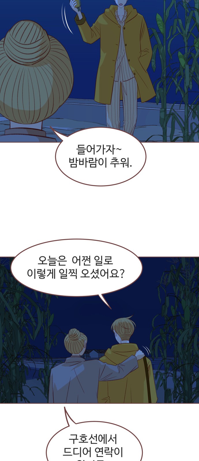 50 페이지