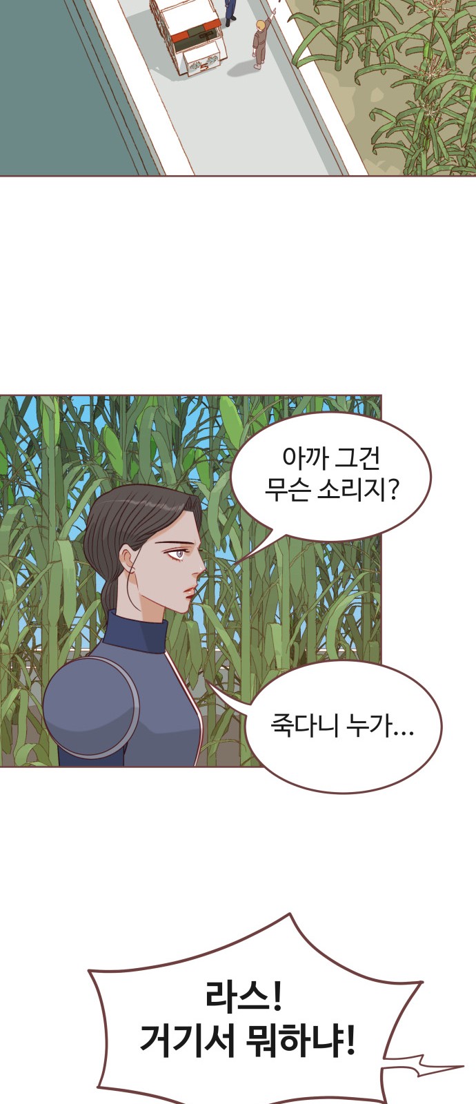 13 페이지