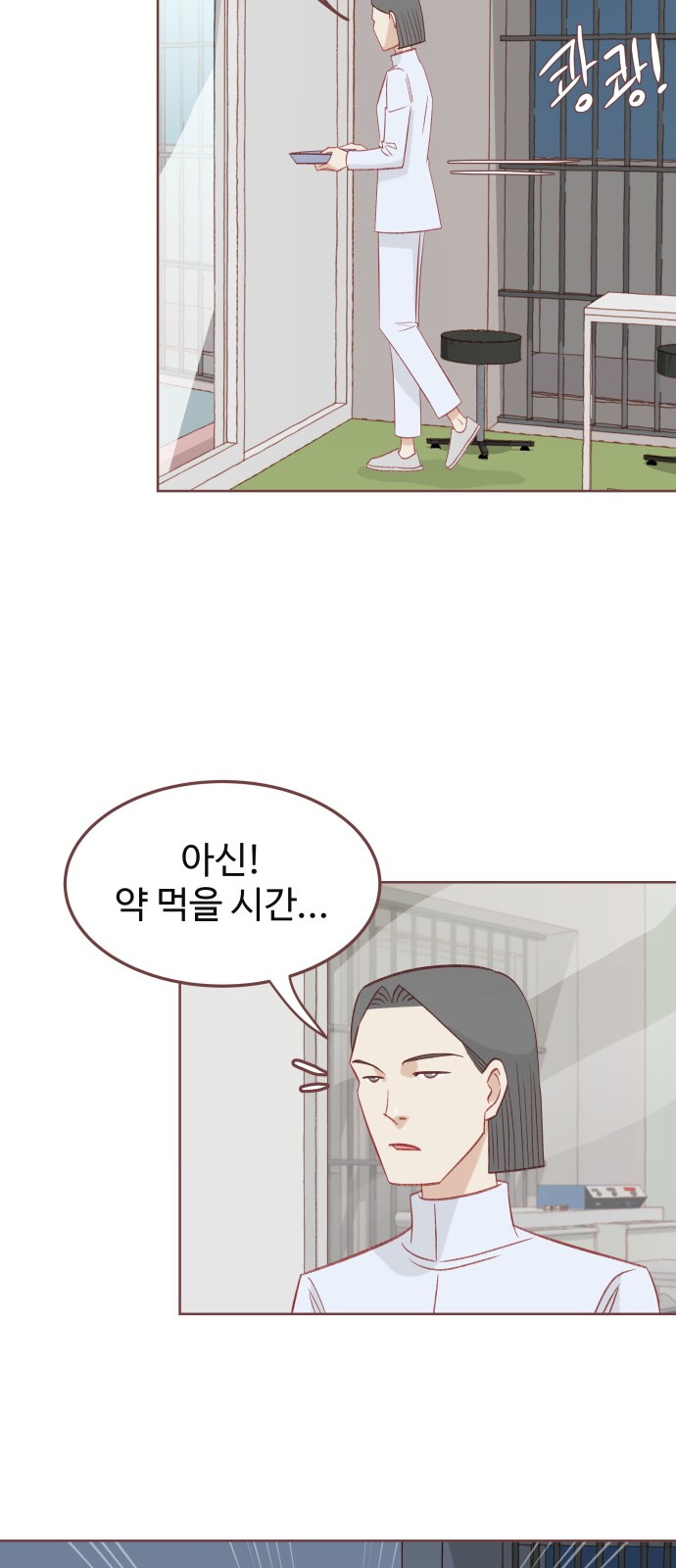 49 페이지