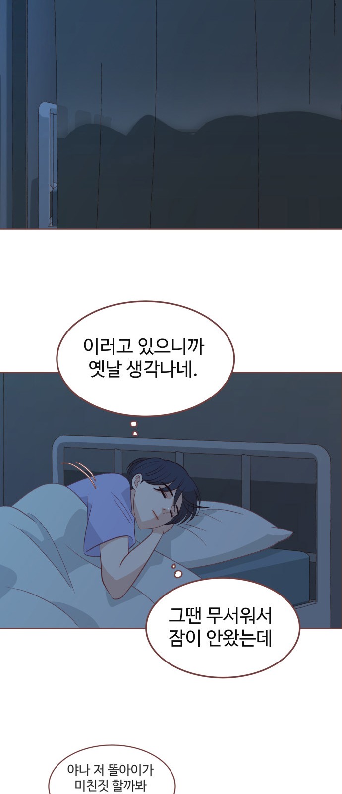 50 페이지
