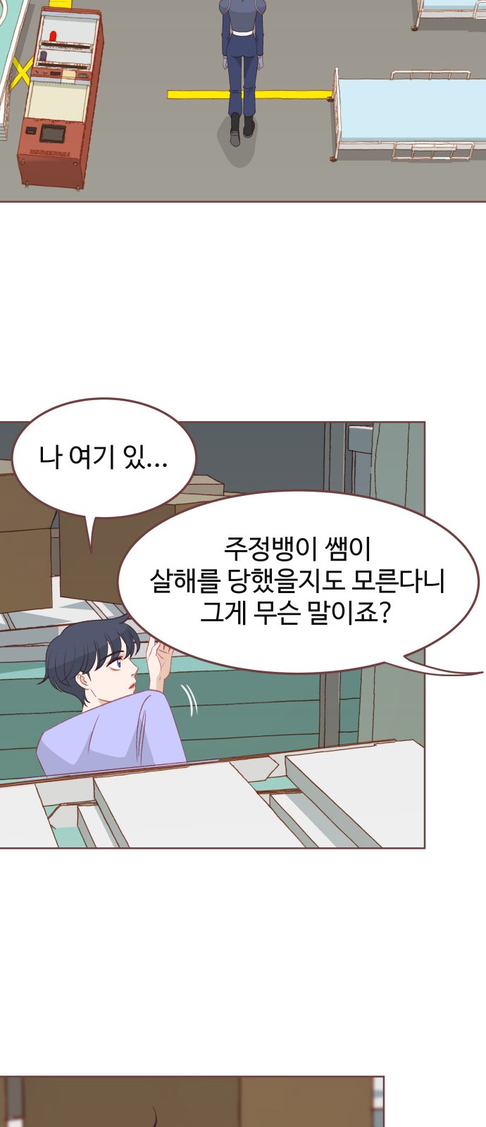 14 페이지