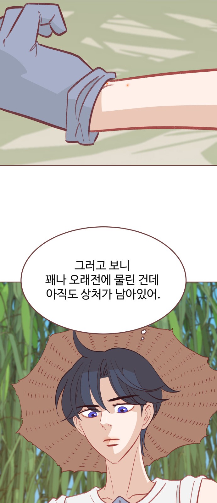 12 페이지