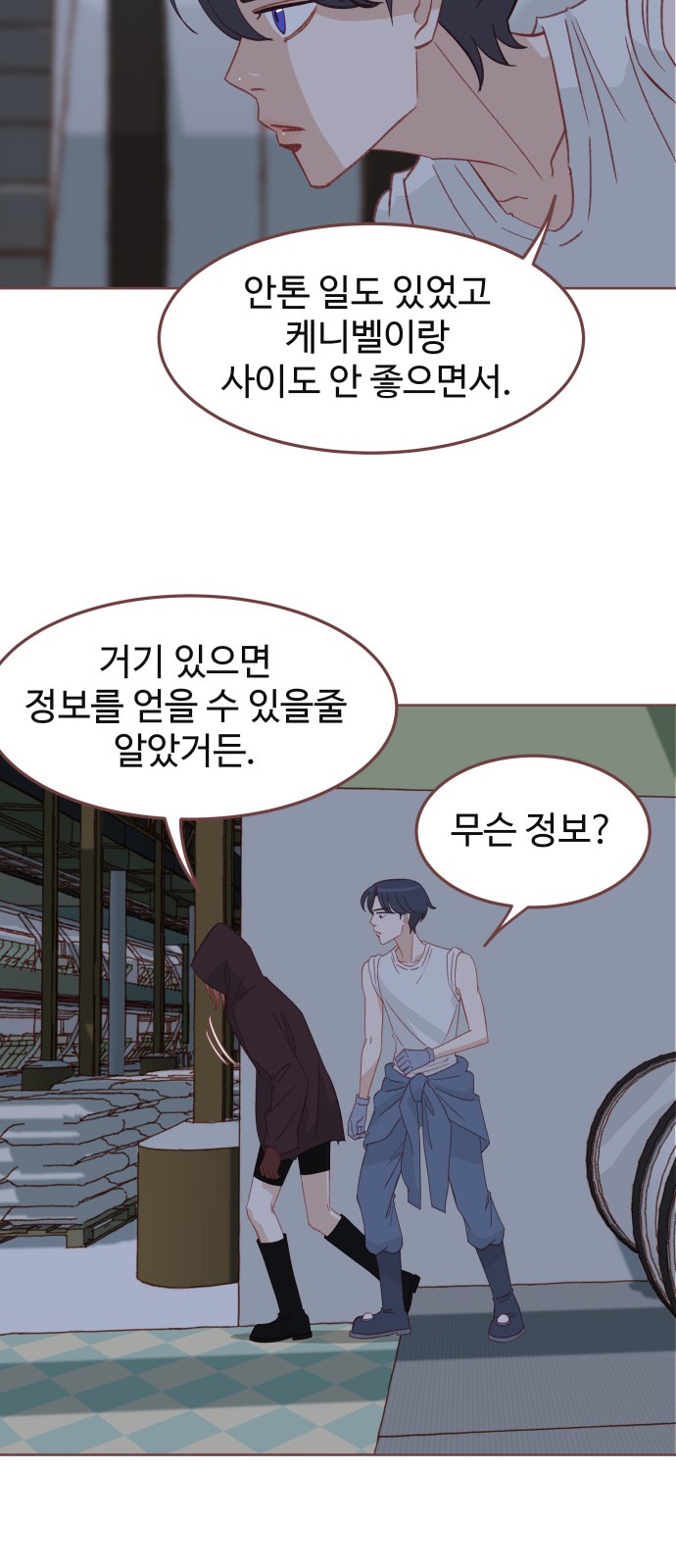 33 페이지