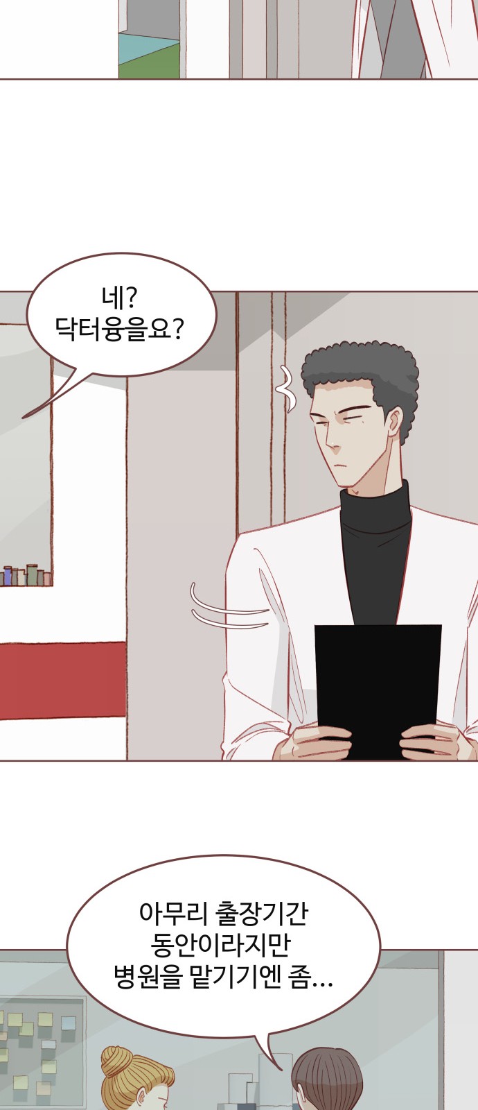 31 페이지