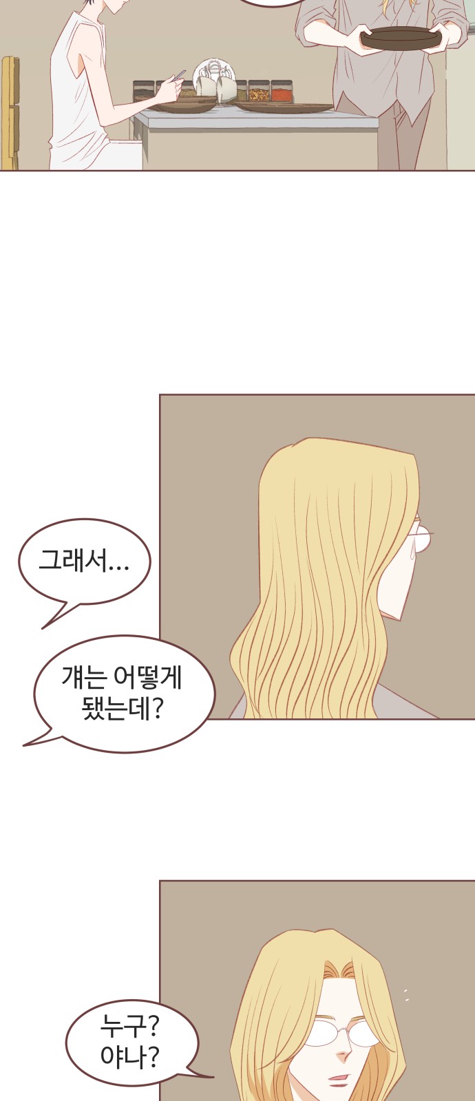 52 페이지