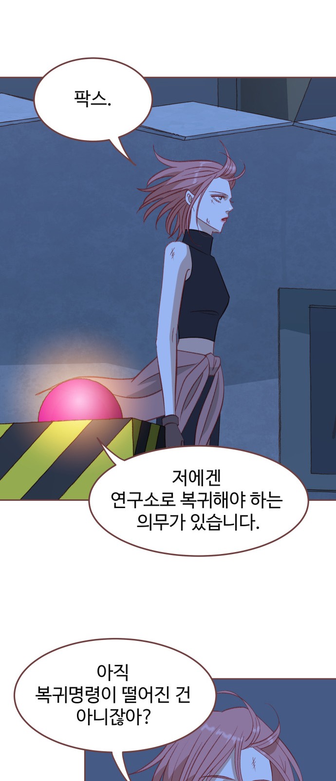 13 페이지