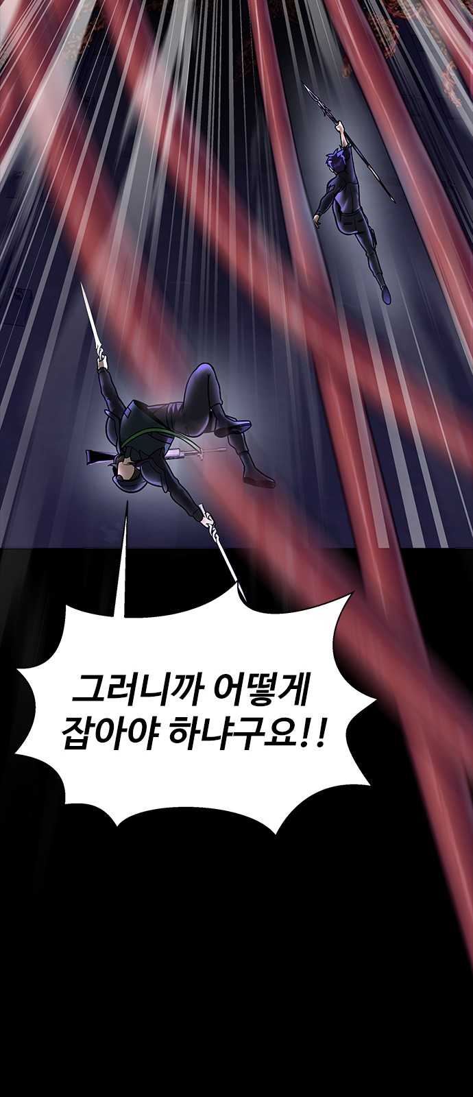 113 페이지