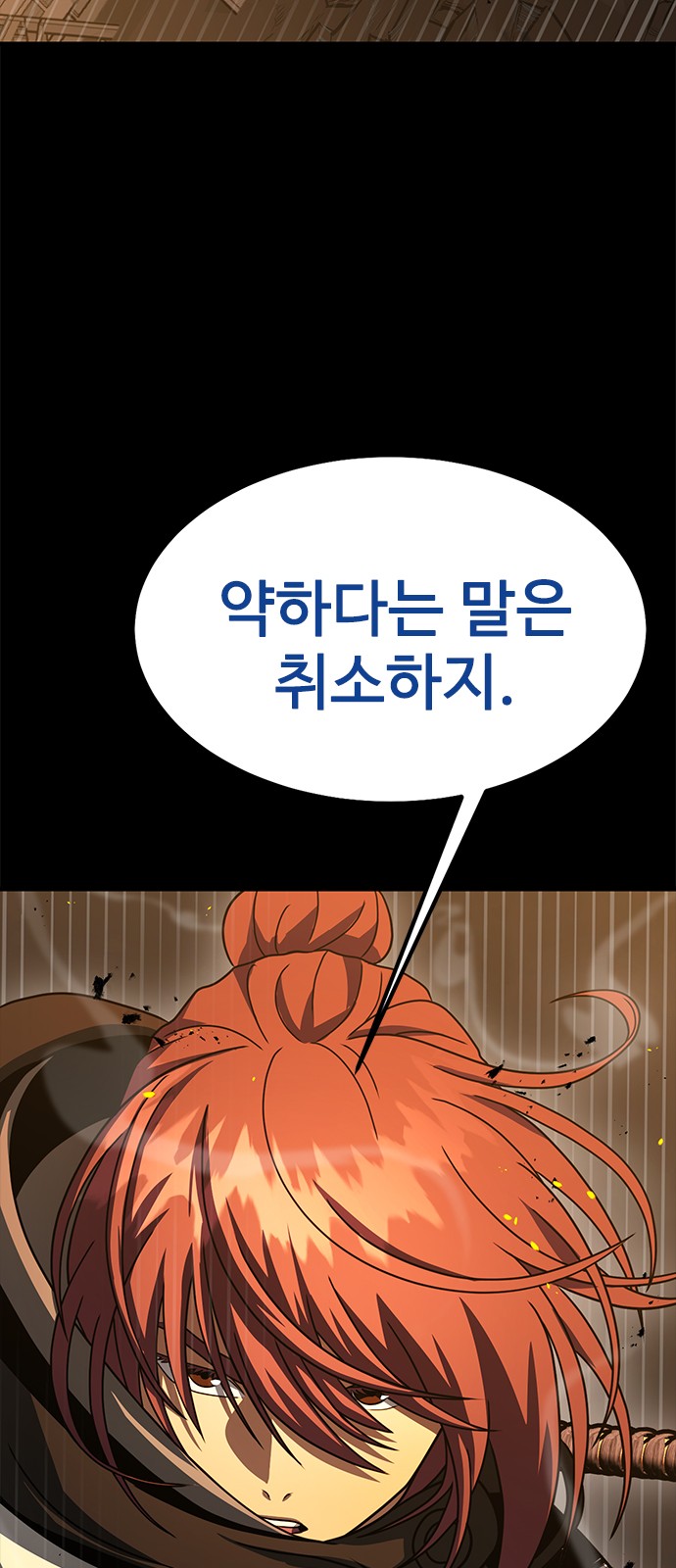 113 페이지