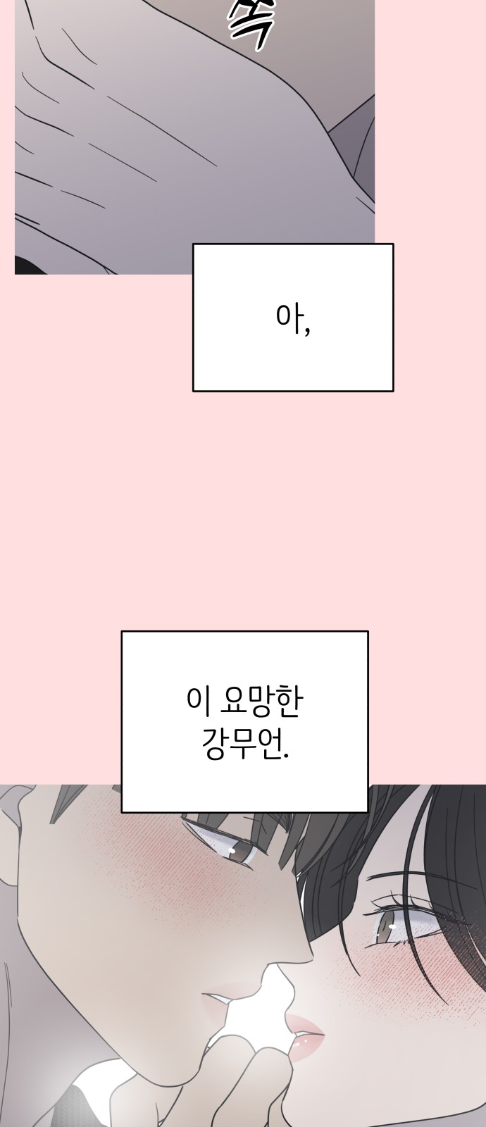 66 페이지